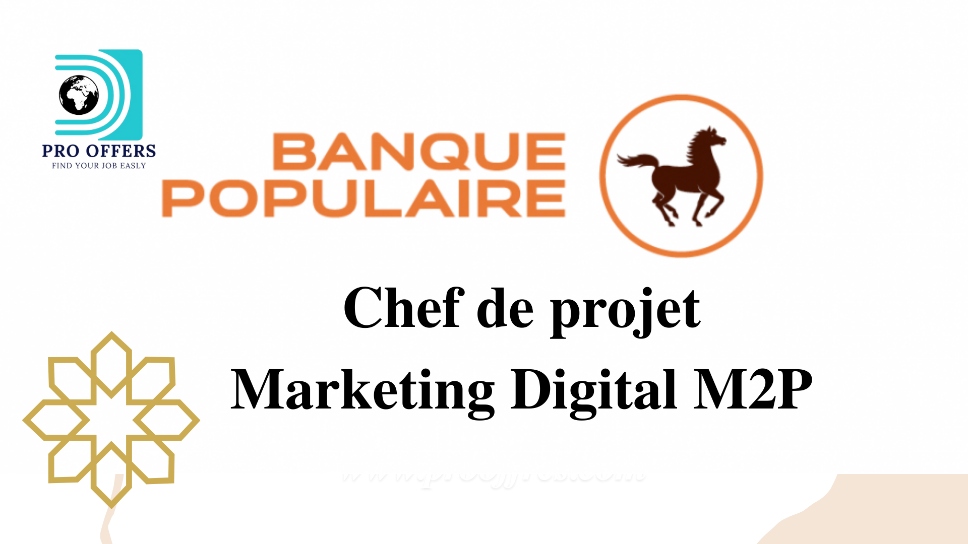 Chef de projet Marketing Digital M2P